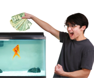 Michael Reeves Goldfish: die ganze Geschichte